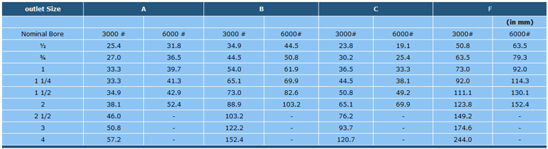 FORGED STEEL OULLET FITTINGS THREADOLETS (3000#, 6000#)